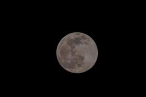 The moon at night photo