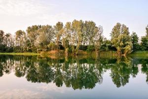 View of green woods by the river photo