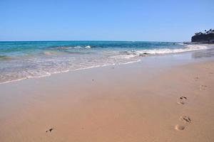 Scenic beach close-up view photo