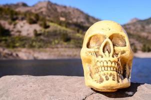 Skull on a rock photo