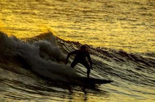 Surfer at sunset photo