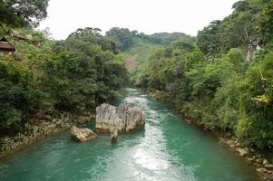 río en el bosque foto