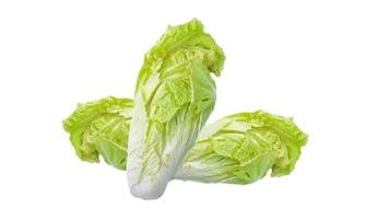 Delicious fresh Chinese cabbage on white background with clipping path photo