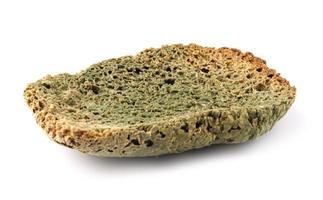 la imagen de un pan mohoso. podrido e incomible. aislado sobre fondo blanco. foto