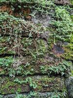 Old and worn wall texture suitable for background photo