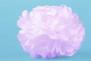 Paper pink flower on a blue background photo