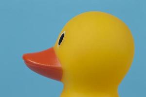 Muzzle of a yellow rubber duck in profile on a blue background. photo