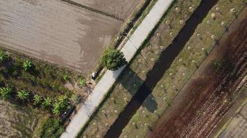 Luftaufnahme einer Straße, die an einem klaren Tag durch ein landwirtschaftliches Gebiet mit Feldern und Feldfrüchten auf beiden Seiten der Straße führt. Blick von oben auf eine ländliche Landstraße am Morgen. video