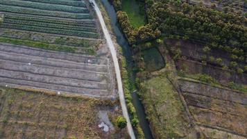 vista aérea de uma estrada que corta uma área agrícola com campos e plantações em ambos os lados da estrada em um dia claro. vista superior olhando para baixo em uma estrada rural pela manhã. video