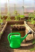 greenhouse with seedlings and green watering can photo