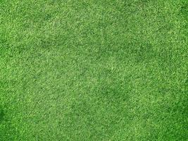 Green grass texture background grass garden concept used for making green background football pitch, Grass Golf, green lawn pattern textured background. photo