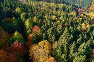 vista aérea de las montañas cubiertas de bosque de otoño foto