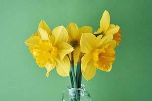 Narcissus flowers in vase on green background photo