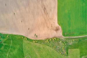 vista aérea de campos agrícolas y verdes en el campo foto