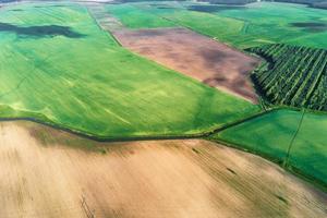 Aerial view of agricultural and green fields in countryside photo