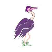 Purple stork on the white background vector