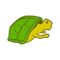 Confuse turtle look at the top vector