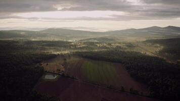 vista al amanecer de un campo de cultivo y un bosque video