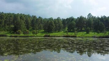 passeio aéreo de um lago no meio video