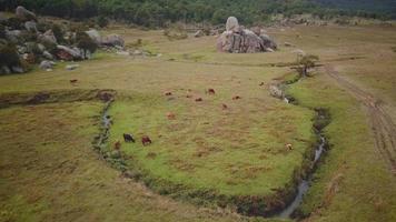 vue sur un champ vert avec des rochers géants video