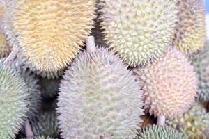 delicious durian fruit as a background photo
