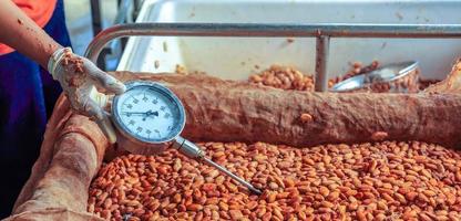 Workers use to measure the temperature of the fermented cocoa beans, fermenting fresh cocoa seeds to make chocolate. photo