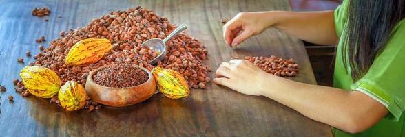 Hand of worker woman  or inspecting selecting quality cocoa beans for chocolate production by hand, Cocoa Bean Quality Sorting photo