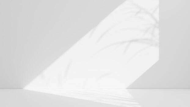 Abstract white studio background for product presentation. Empty room with shadows of window. Display product with blurred backdrop. photo