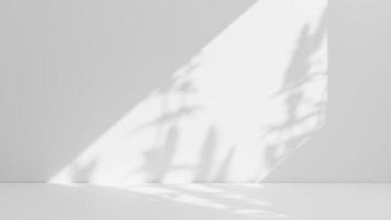 Abstract white studio background for product presentation. Empty room with shadows of window. Display product with blurred backdrop. photo