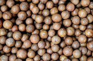 fondo de textura de nueces de macadamia, nueces de macadamia crudas naturales frescas en un marco completo, pila de cerca de nuez de macadamia tostada foto