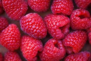 Fresh raspberry texture Close up red raspberries fruit background top view photo