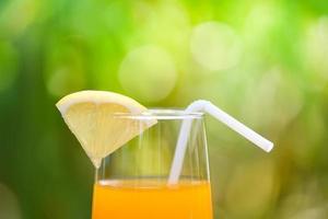 jugo de naranja con un trozo de fruta naranja en vidrio con naturaleza verde verano foto