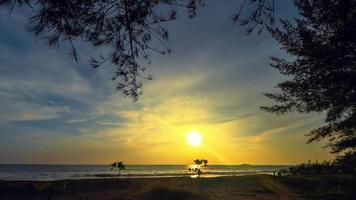 pôr do sol lapso de tempo 4 k na bela praia com árvores em silhueta video