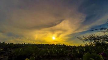 time-lapse du coucher du soleil avec des nuages en mouvement sur l'horizon video
