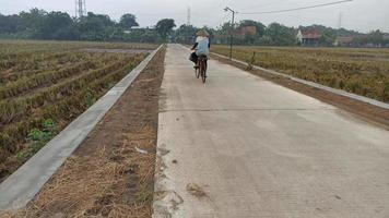 Farmers cycling in the rice fields after taking care of the fields video