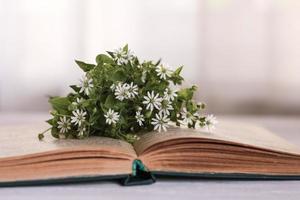 A small bunch of white flowers lies on an open book. Selective focus photo