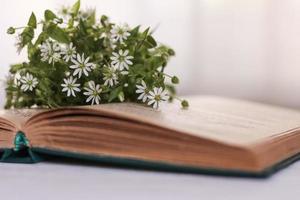 A small bunch of white flowers lies on an open book. Selective focus photo