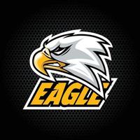 Eagle Head from side. Can be used for club or team logo. Vector graphic.