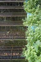 escaleras de hierro las escaleras tienen hojas secas en el jardín foto