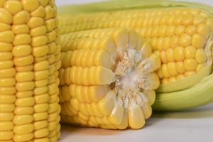 beautiful yellow sweet corn with macro and close up view photo