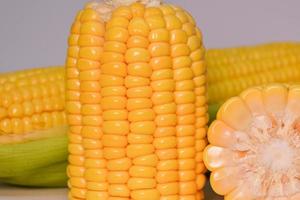 beautiful yellow sweet corn with macro and close up view photo