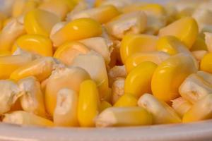 hermoso maíz dulce amarillo con macro y vista cercana foto