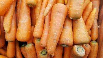 pila de zanahorias o daucus carota foto