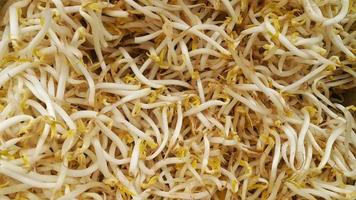 Pile of fresh bean sprouts photo