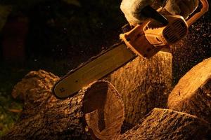 electric chainsaws cut trees in the forest for building a house and making firewood The concept of deforestation photo