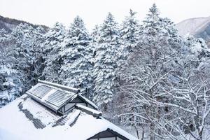 fuertes nevadas en el pueblo de heike no sato en la prefectura de tochigi, ciudad de nikko, japón foto