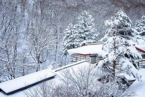 heavy snow  at Heike No Sato Village in Tochigi Prefecture, Nikko City, JAPAN photo