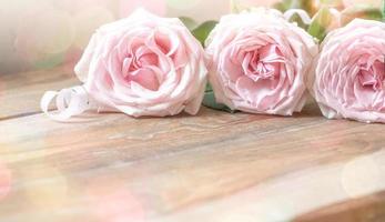 Gentle pink roses on rustic wooden board close up. Festive vintage image. Copy space. Soft focus. photo