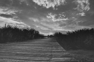 Footbridge to the lake through reeds in black and white. Dramatic clouds in the sky photo