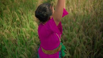 una hermosa mujer balinesa se puso el cinturón dorado en su cuerpo con un vestido rosa antes de bailar en el campo de arroz video